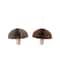 Hello Honey® 2 Pack 8.5" Brown & Cream with Gold Glitter Edge Honeycomb Mushroom Folded Paper Ornaments